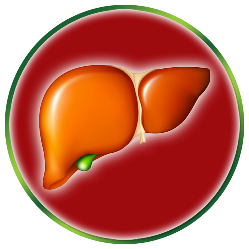 Liver Health